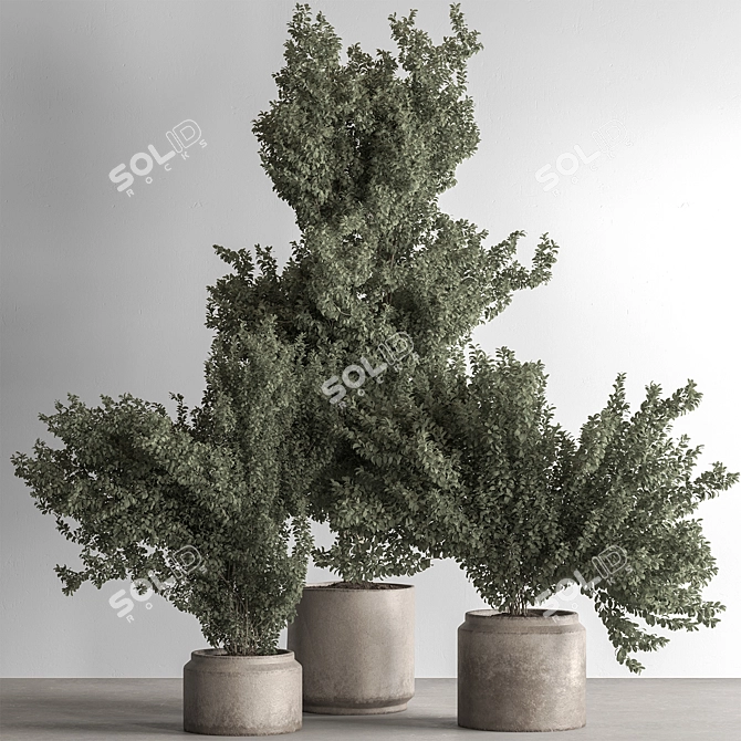 Houseplant 789: Bush in Planter 3D model image 1