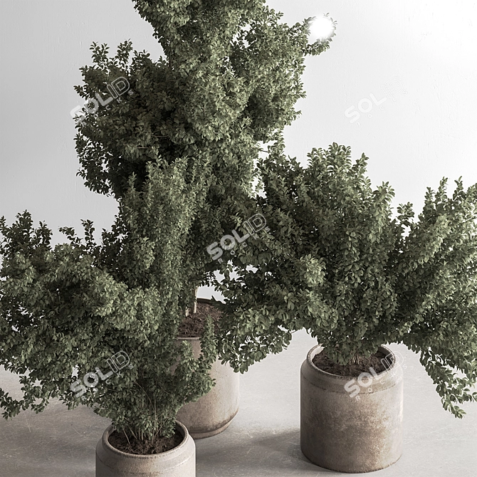 Houseplant 789: Bush in Planter 3D model image 2