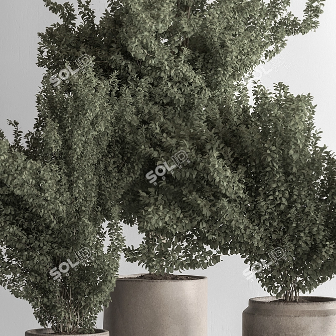 Houseplant 789: Bush in Planter 3D model image 3