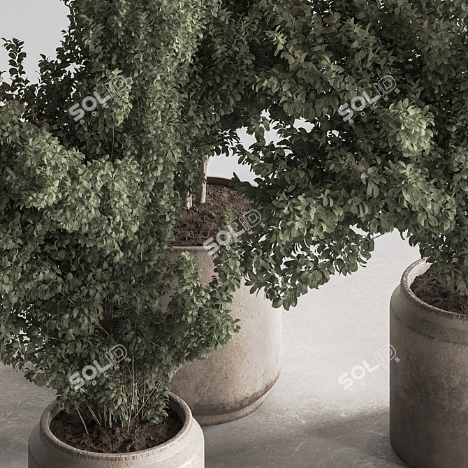 Houseplant 789: Bush in Planter 3D model image 4