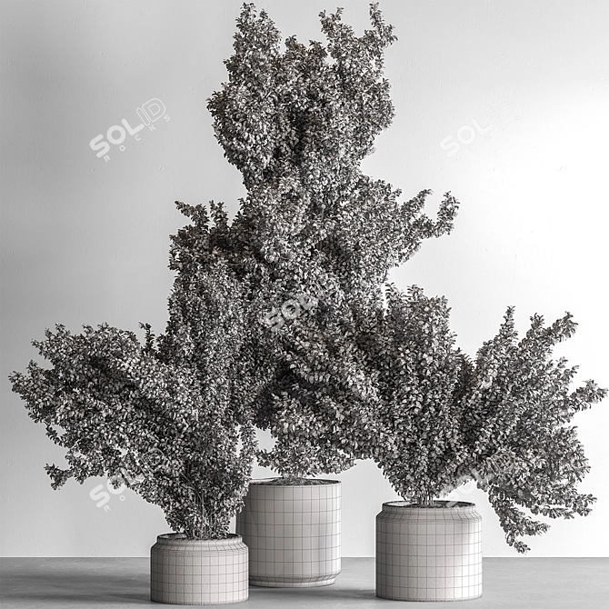 Houseplant 789: Bush in Planter 3D model image 5