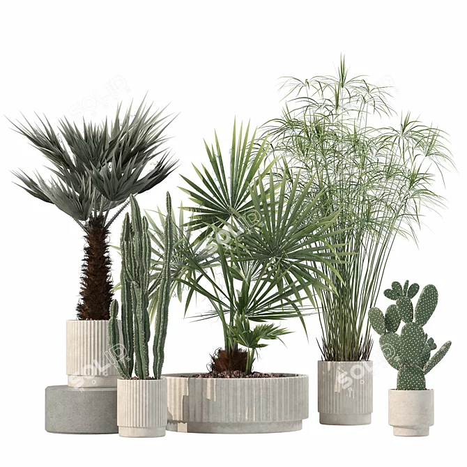 Rattan Pot Plant Collection 218 3D model image 1