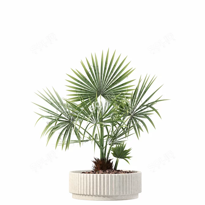 Rattan Pot Plant Collection 218 3D model image 3