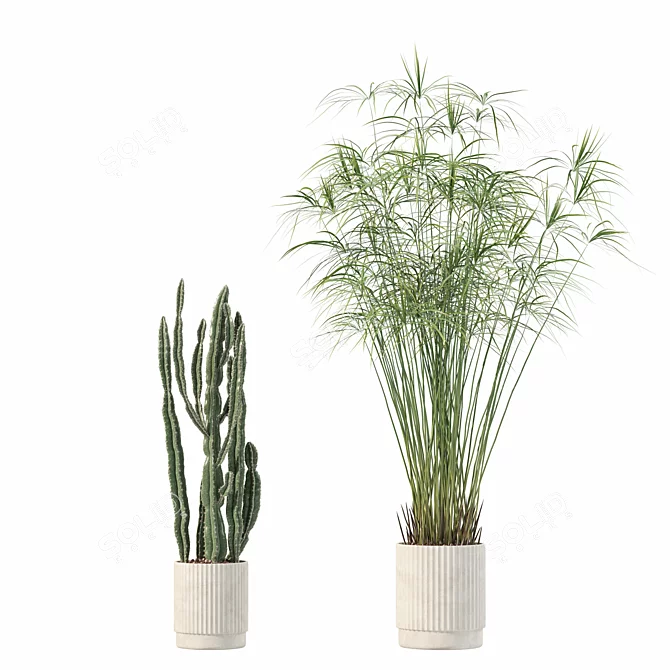 Rattan Pot Plant Collection 218 3D model image 4