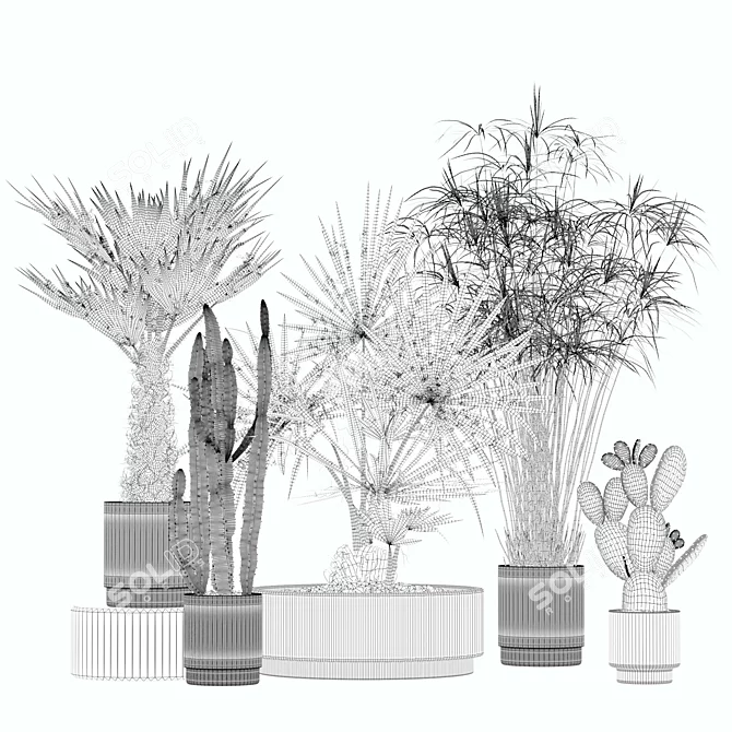 Rattan Pot Plant Collection 218 3D model image 5