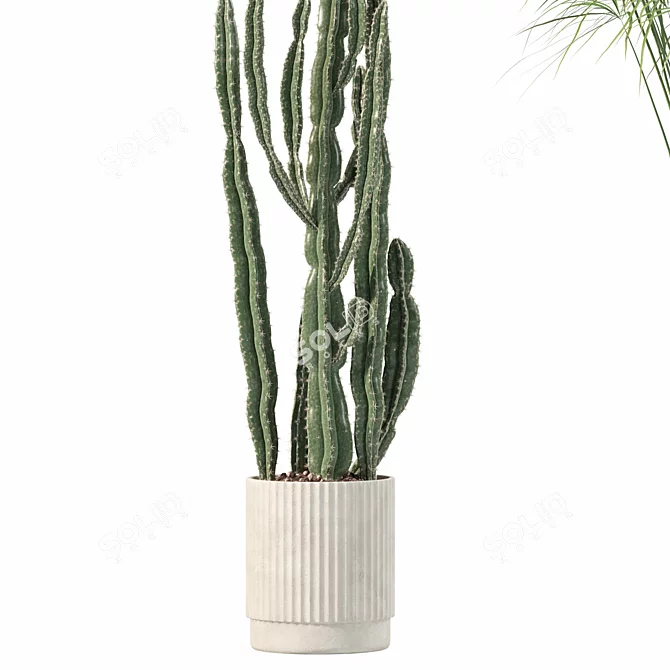 Rattan Pot Plant Collection 218 3D model image 7