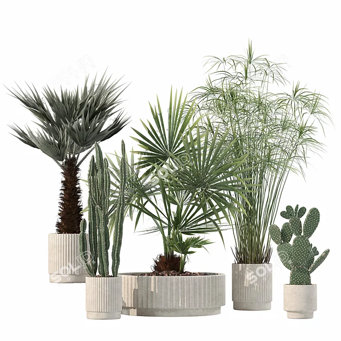 Rattan Pot Plant Collection 218 3D model image 8