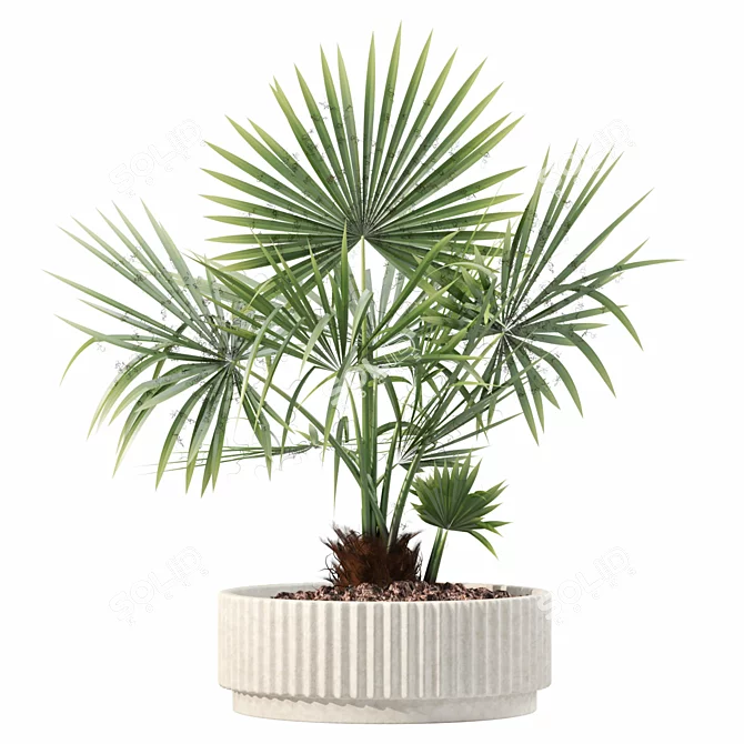 Rattan Pot Plant Collection 218 3D model image 9