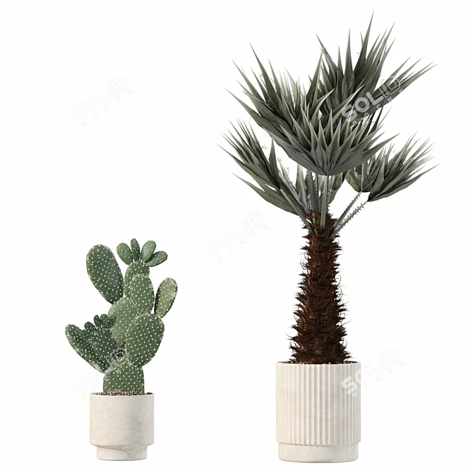 Rattan Pot Plant Collection 218 3D model image 10