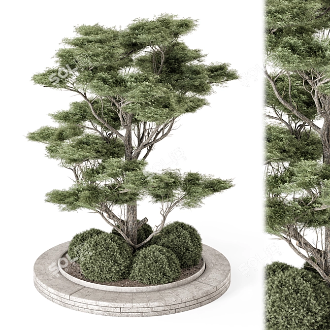 Outdoor Pine Set 2015 VRay 3D model image 1