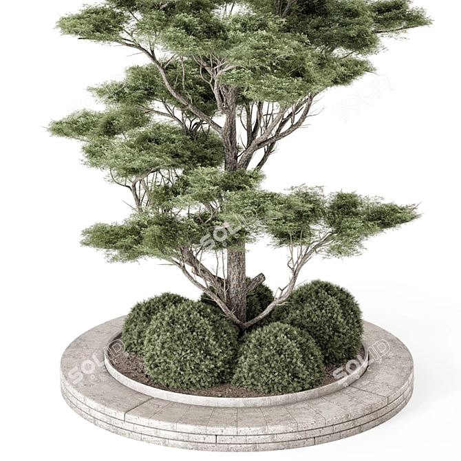 Outdoor Pine Set 2015 VRay 3D model image 4