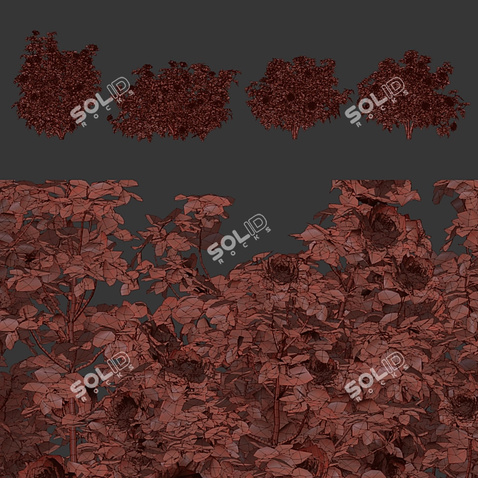 Vol 74 Rose Bush Collection 3D model image 7