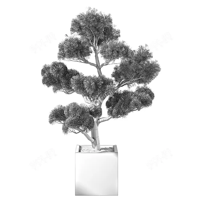 Ultimate Outdoor Plant Set 3D model image 3