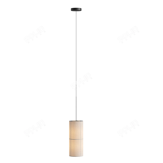 Modern Minimalist Pendant Lamp - 3Ds Max Model 3D model image 3