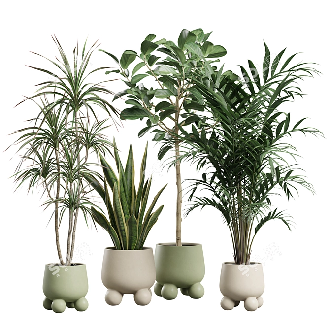 Exotic Indoor Plants Collection Bundle 3D model image 1