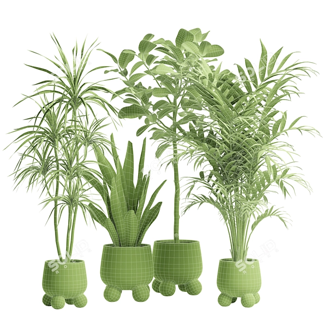 Exotic Indoor Plants Collection Bundle 3D model image 3