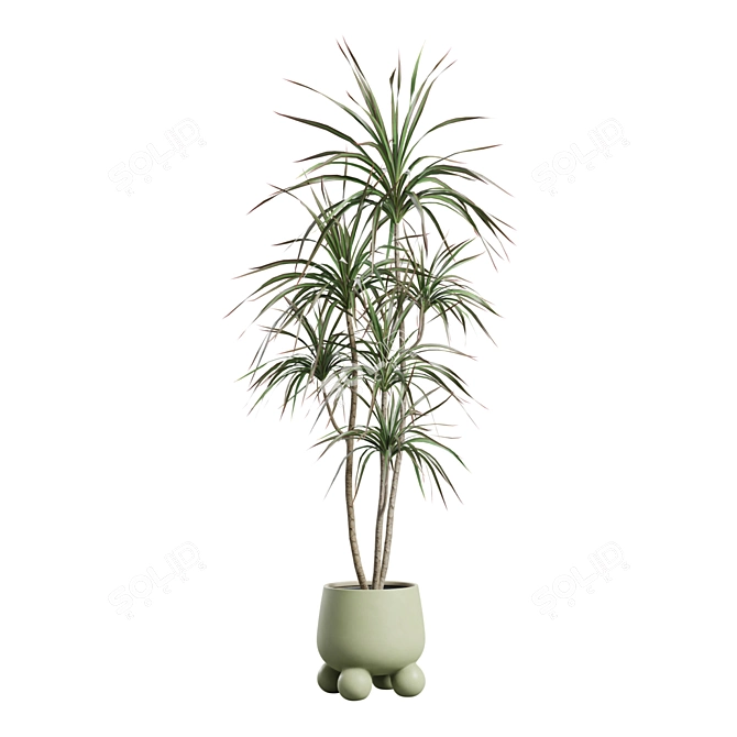 Exotic Indoor Plants Collection Bundle 3D model image 4