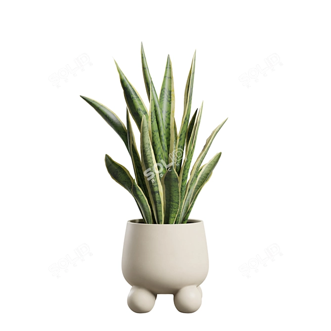 Exotic Indoor Plants Collection Bundle 3D model image 7