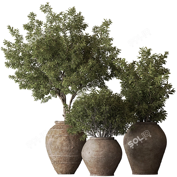 Green Oasis Tree Pot Plant 3D model image 1