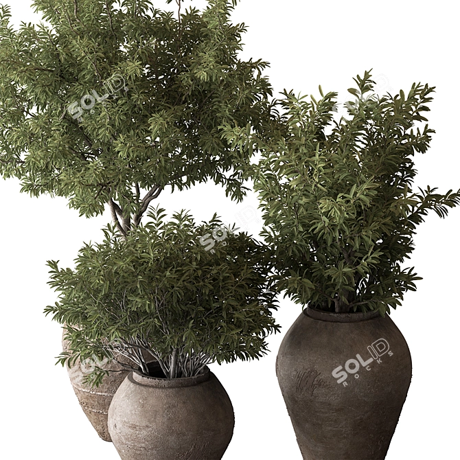 Green Oasis Tree Pot Plant 3D model image 2