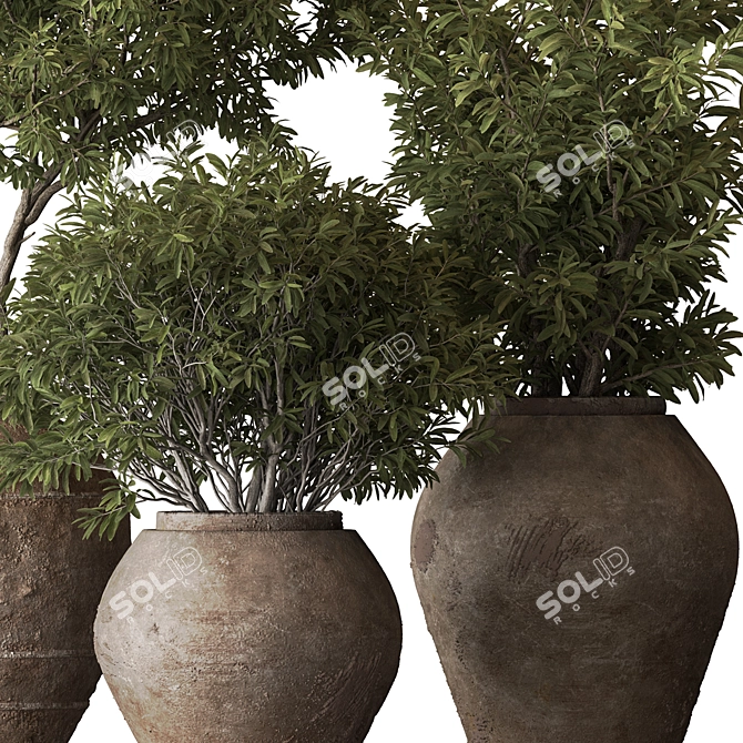 Green Oasis Tree Pot Plant 3D model image 3