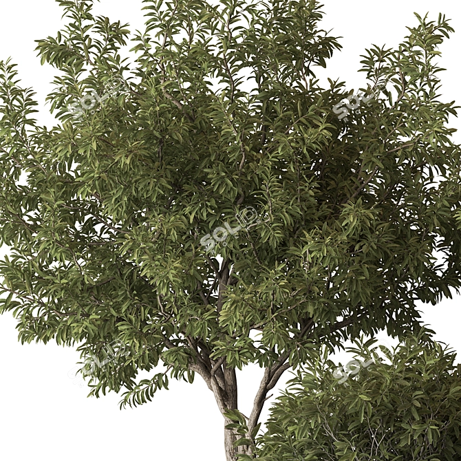 Green Oasis Tree Pot Plant 3D model image 4