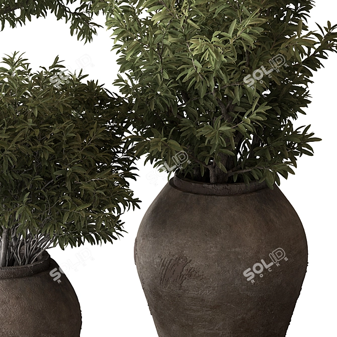 Green Oasis Tree Pot Plant 3D model image 6