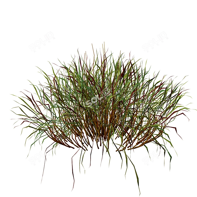 Realistic 3D Grass Model: Versatile Texture 3D model image 6