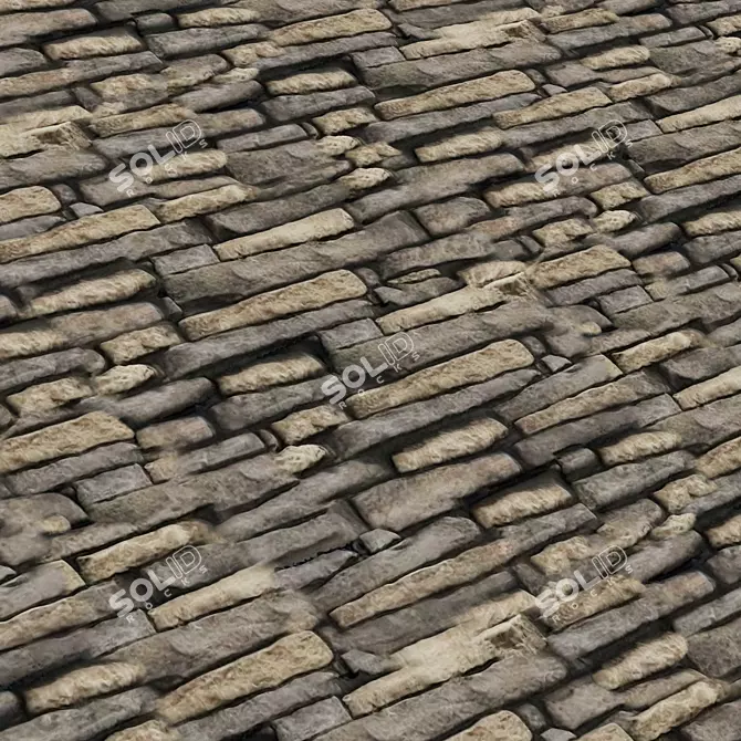 Stone Facade Coverings Texture Set 3D model image 3