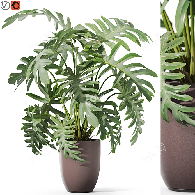 1133 Plant Collection: Lush Greenery 3D model image 1