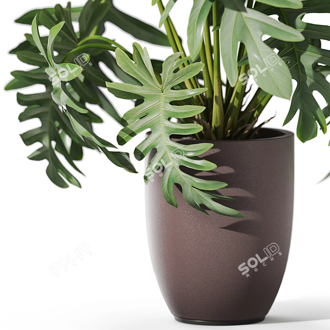 1133 Plant Collection: Lush Greenery 3D model image 2