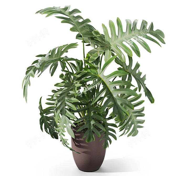 1133 Plant Collection: Lush Greenery 3D model image 3