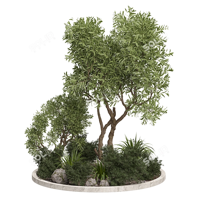 Outdoor Plant 195 3D Model 3D model image 1