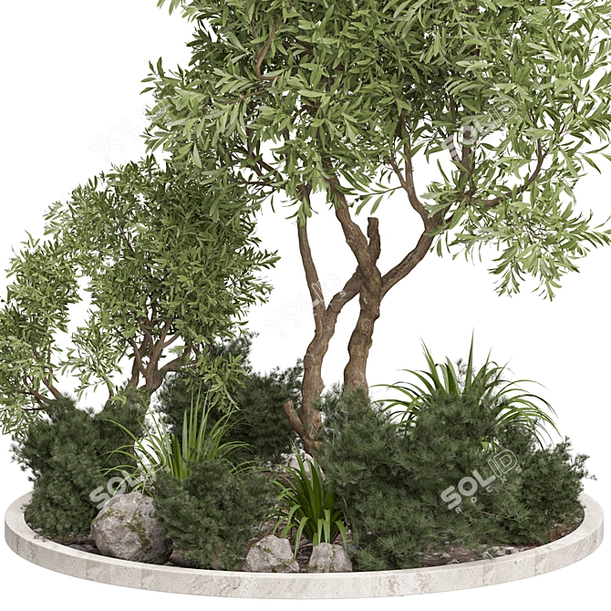 Outdoor Plant 195 3D Model 3D model image 2