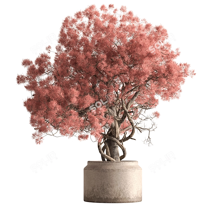 Tree in Pot - Indoor Beauty 3D model image 1