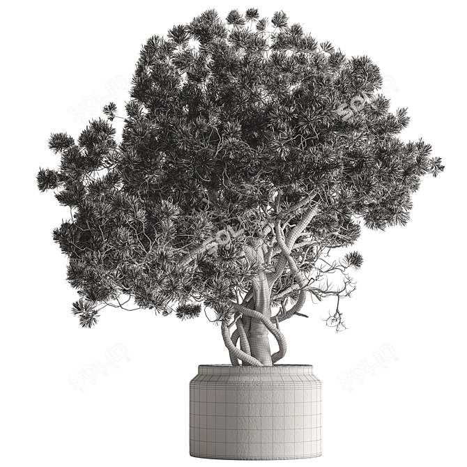Tree in Pot - Indoor Beauty 3D model image 3