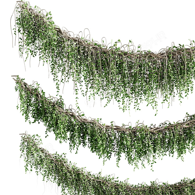 High-Quality Ivy Plants Set 3D model image 3