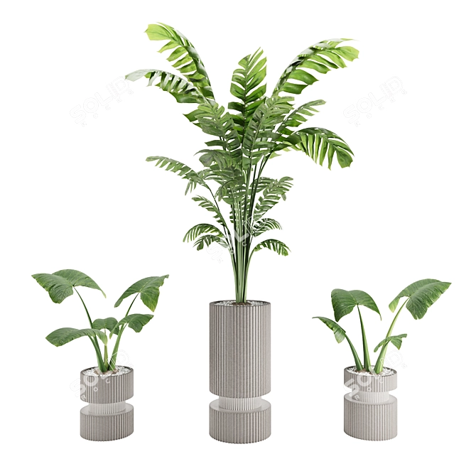 Modern Indoor Plant 3D Model 3D model image 1