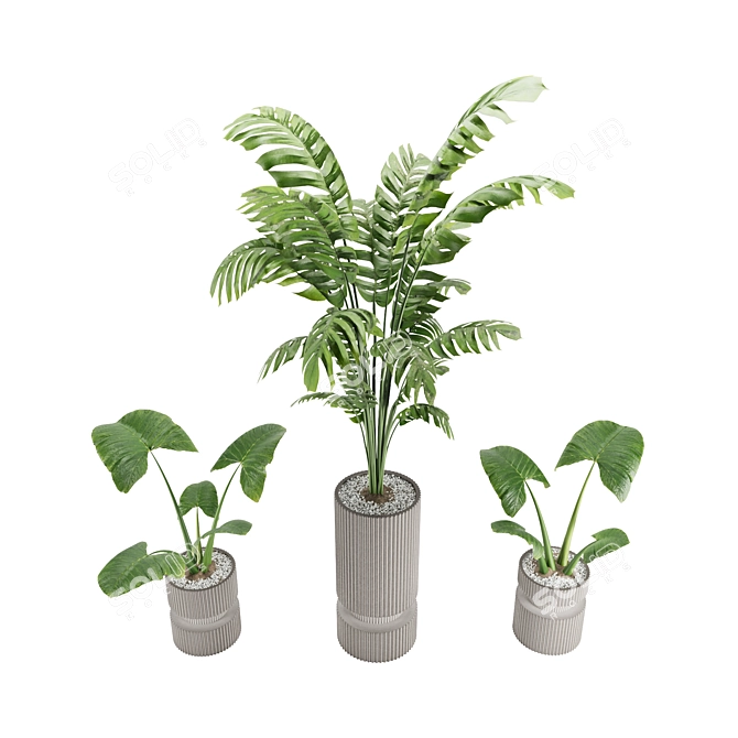 Modern Indoor Plant 3D Model 3D model image 2