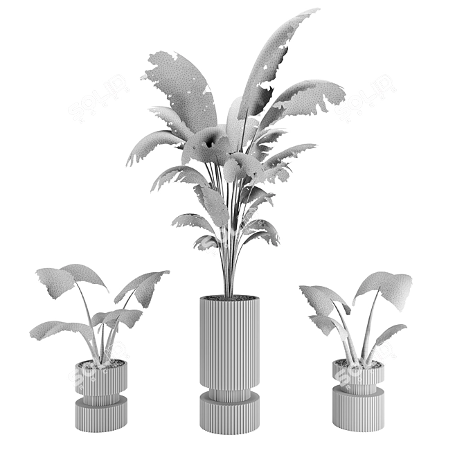 Modern Indoor Plant 3D Model 3D model image 4