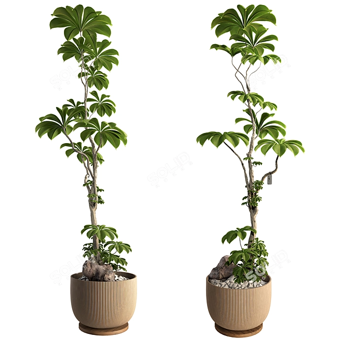 3D Tree Plant Model Collection 3D model image 4