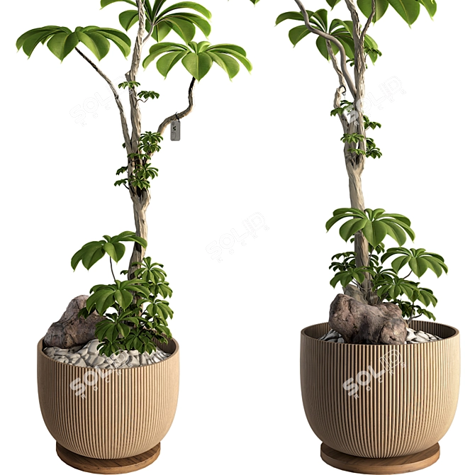 3D Tree Plant Model Collection 3D model image 5