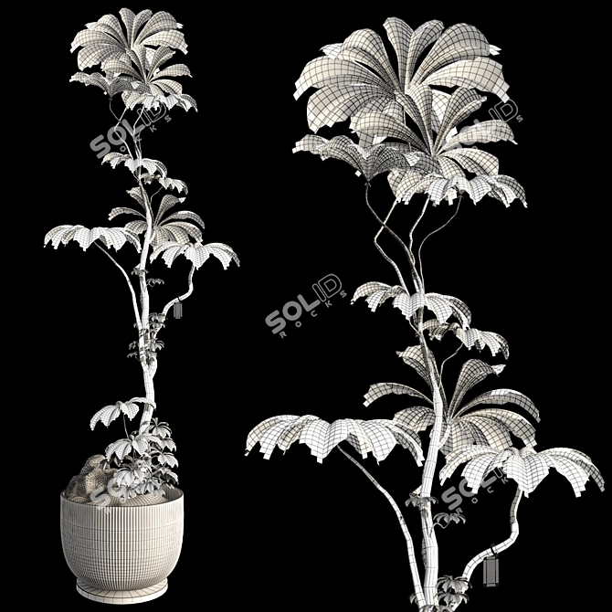 3D Tree Plant Model Collection 3D model image 7