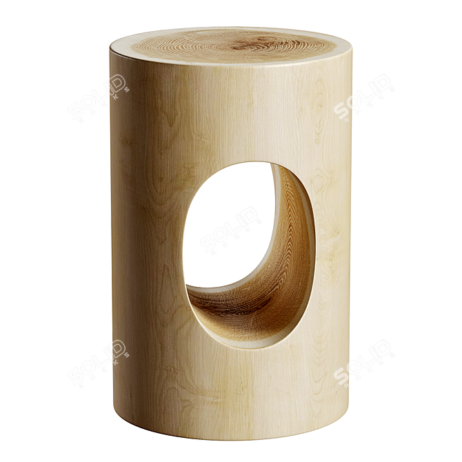 Rain Tree Wood Side Table 3D model image 1