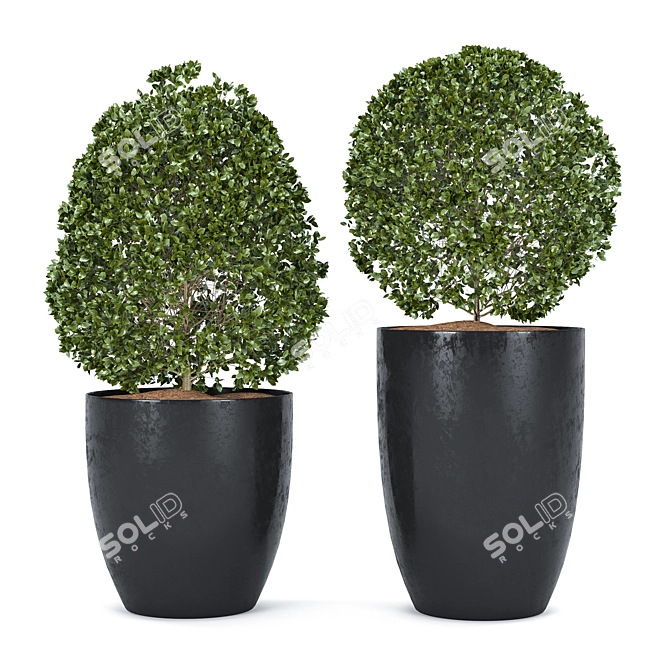  Detailed Plant Set for Rendering 3D model image 1