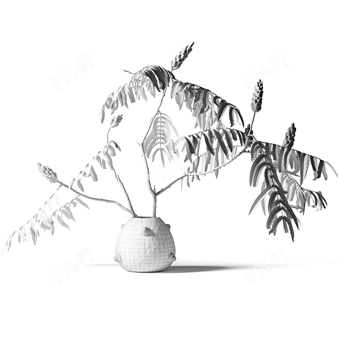 Acacia Branch in White Clay Vase 3D model image 2