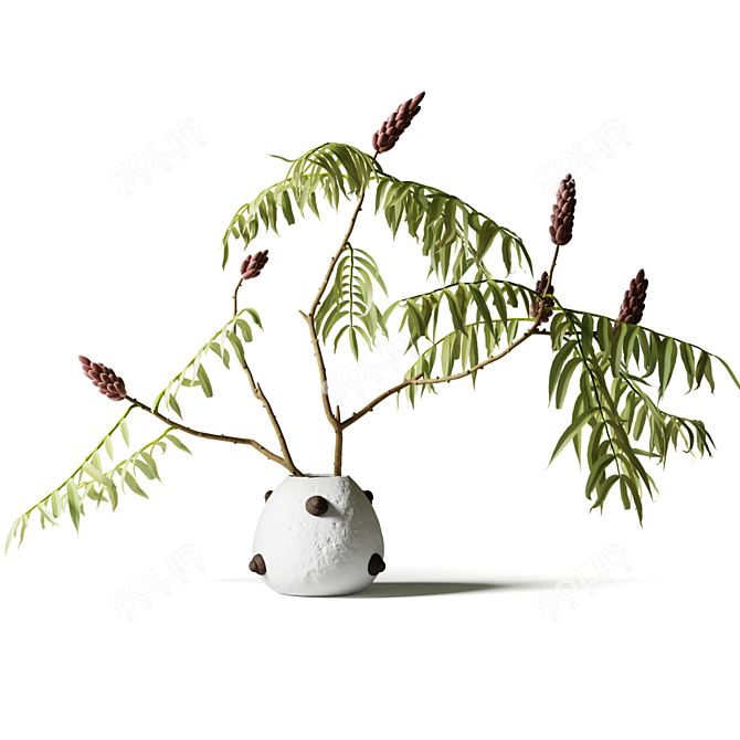 Acacia Branch in White Clay Vase 3D model image 3