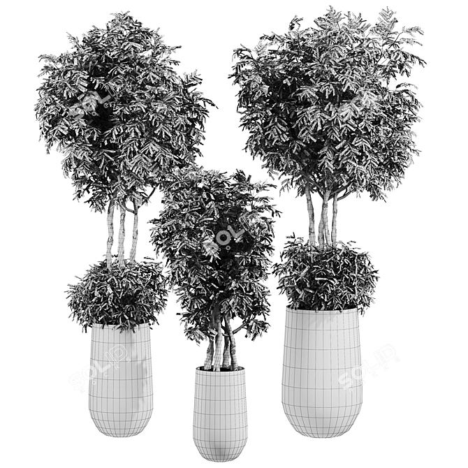 Variety Plants 3D Collection Vray 3D model image 2