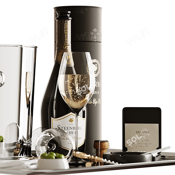 Sparkling Wine Set 1 3D model image 4