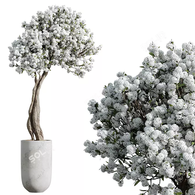 Chic Cherry Blossom Tree Planter 3D model image 1